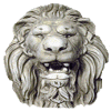 Gif animé lion rugit